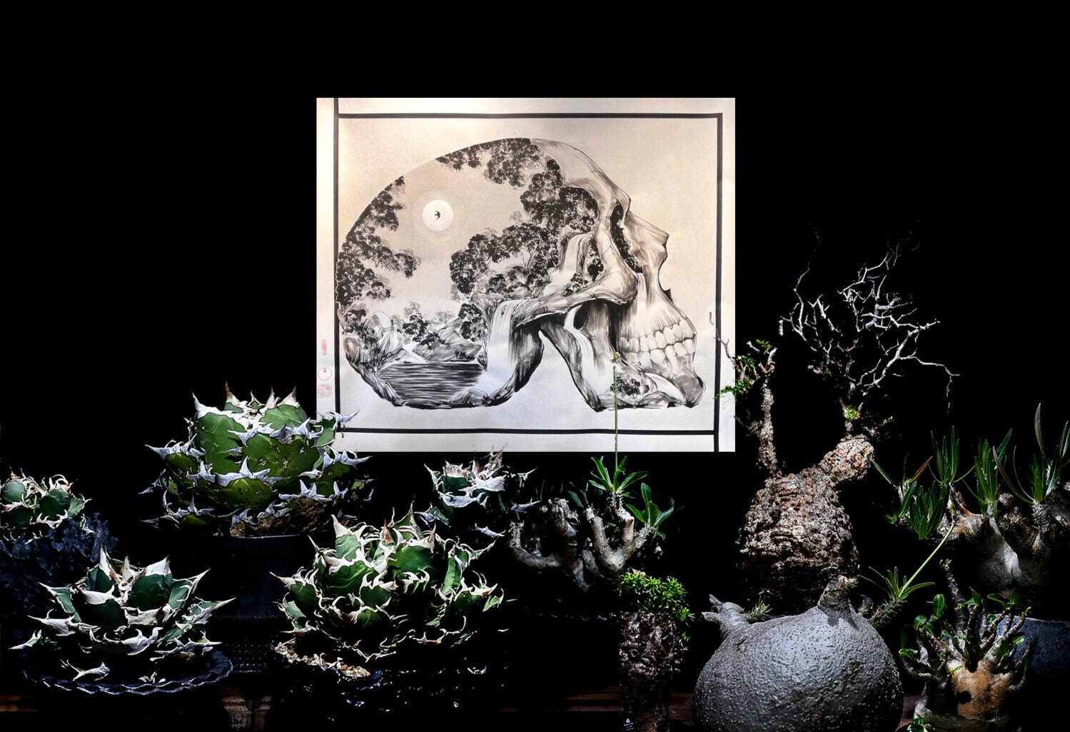 植物ショップ「ラフラム」“ぽってり”丸い希少な塊根植物が阪急メンズ東京に集結、植物棚やアート作品も｜写真21