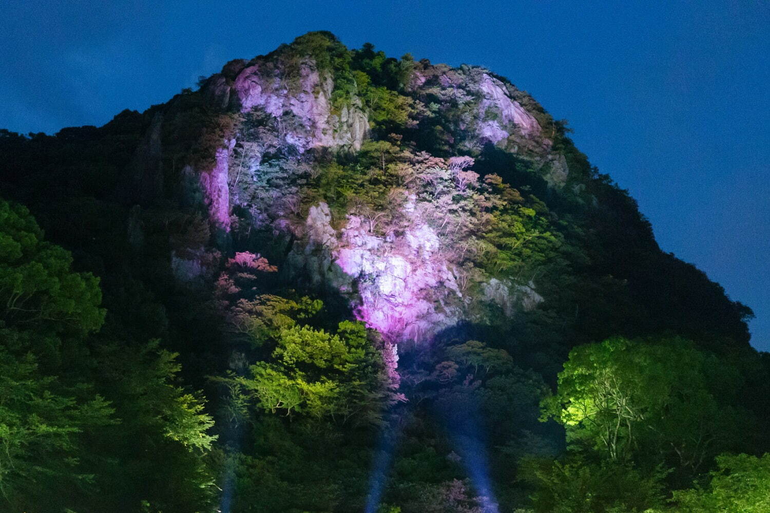 チームラボが佐賀・御船山楽園の大自然を光のアートに、滝”の投影や輝く桜＆もみじなど｜写真5