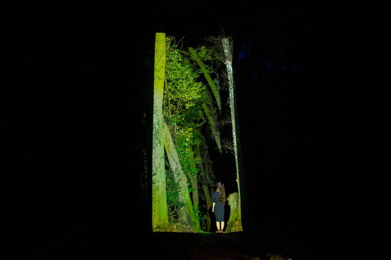 チームラボが佐賀・御船山楽園の大自然を光のアートに、滝”の投影や輝く桜＆もみじなど｜写真18