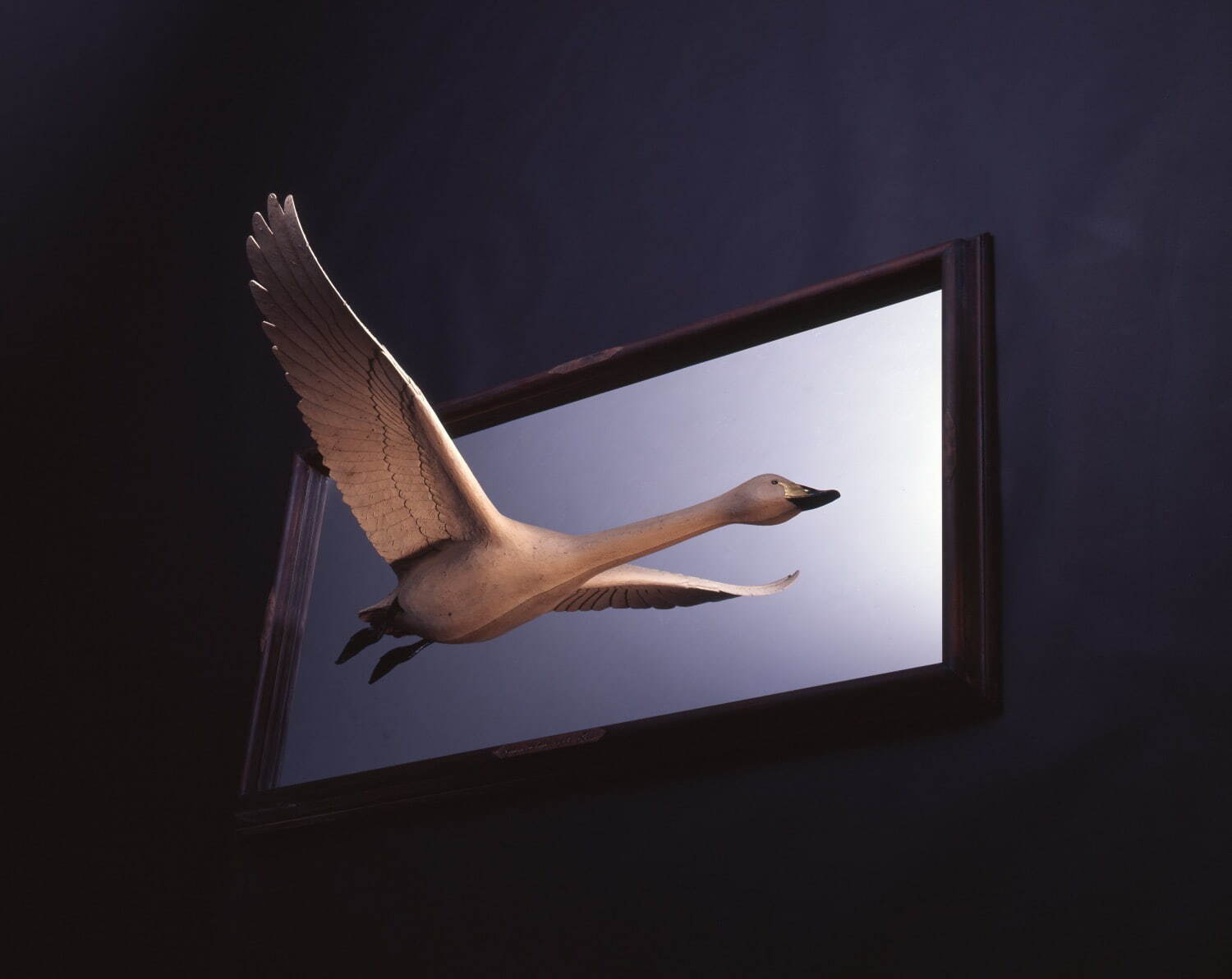 大森暁生 《Swan in the frame (Type-A)》 2005年 個人蔵
Photo: Katsura Endo ©AKIO OHMORI