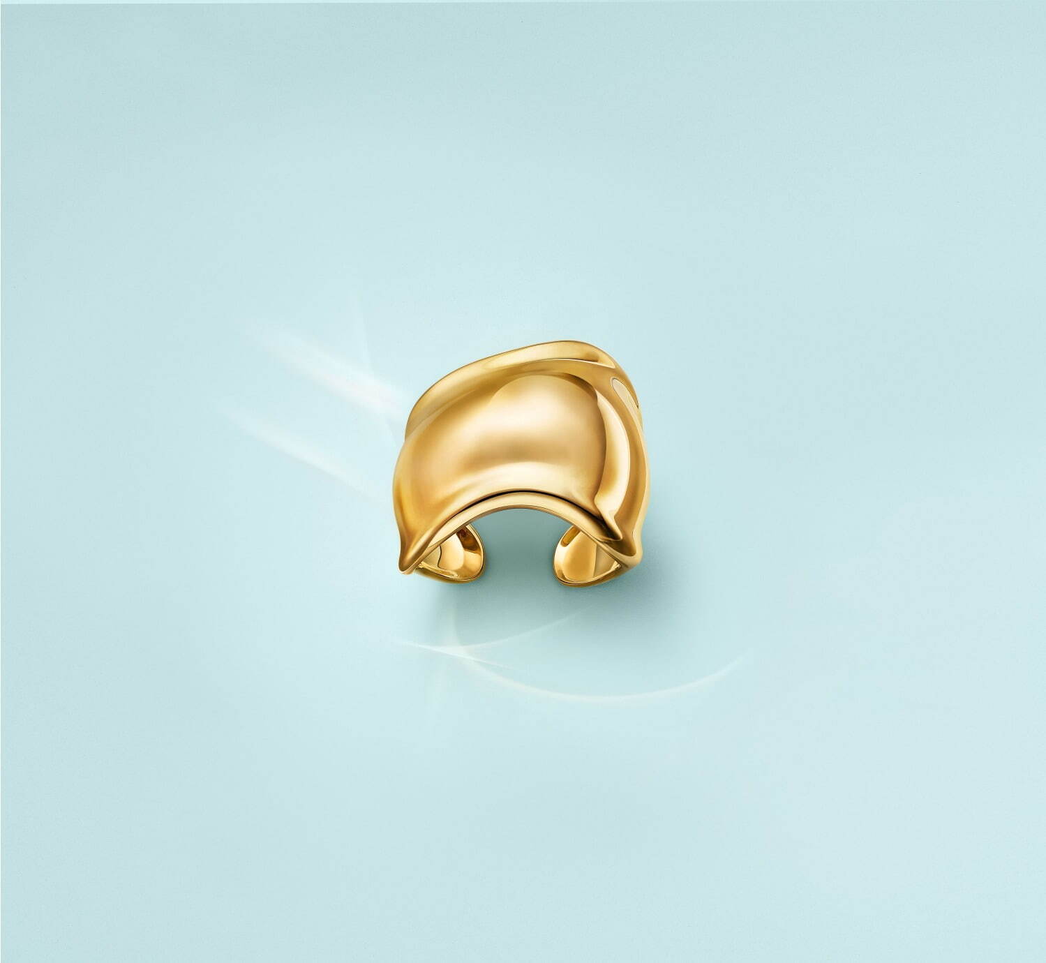 ティファニー(Tiffany & Co.) ボーン カフ｜写真2