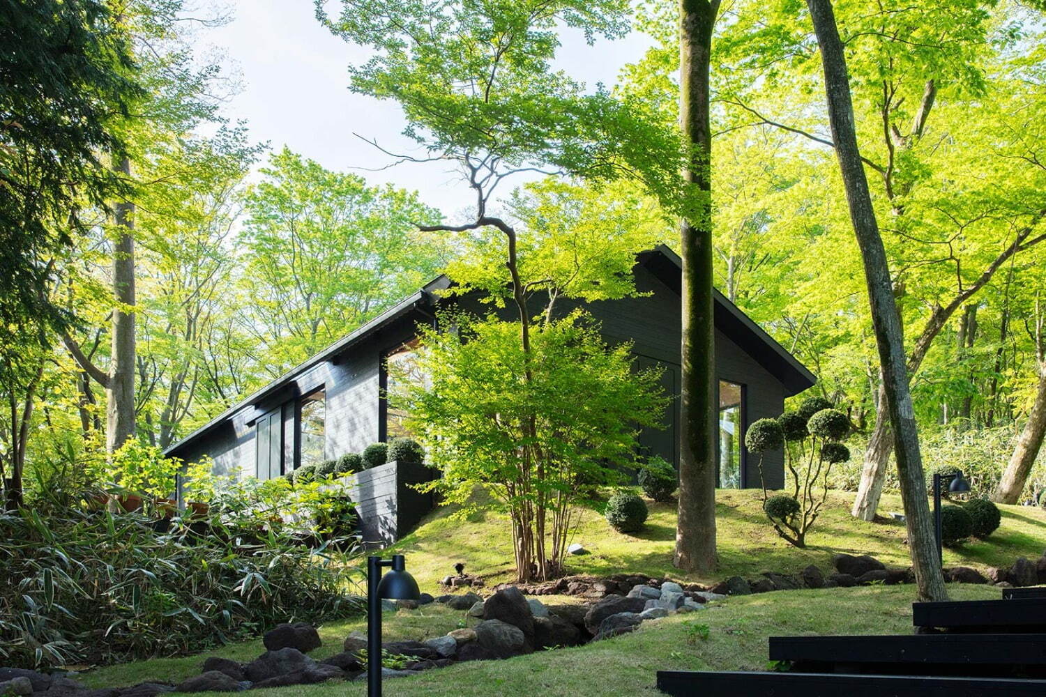 箱根強羅の自然庭園「ニコライ バーグマン 箱根 ガーデンズ」アジサイ約2,000株が見頃に｜写真14