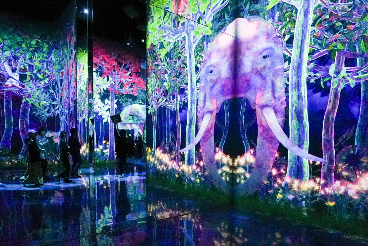 チームラボ《つかまえて集める絶滅の森》2020/2025, Interactive Digital installation, Endless, Sound: Hideaki Takahashi