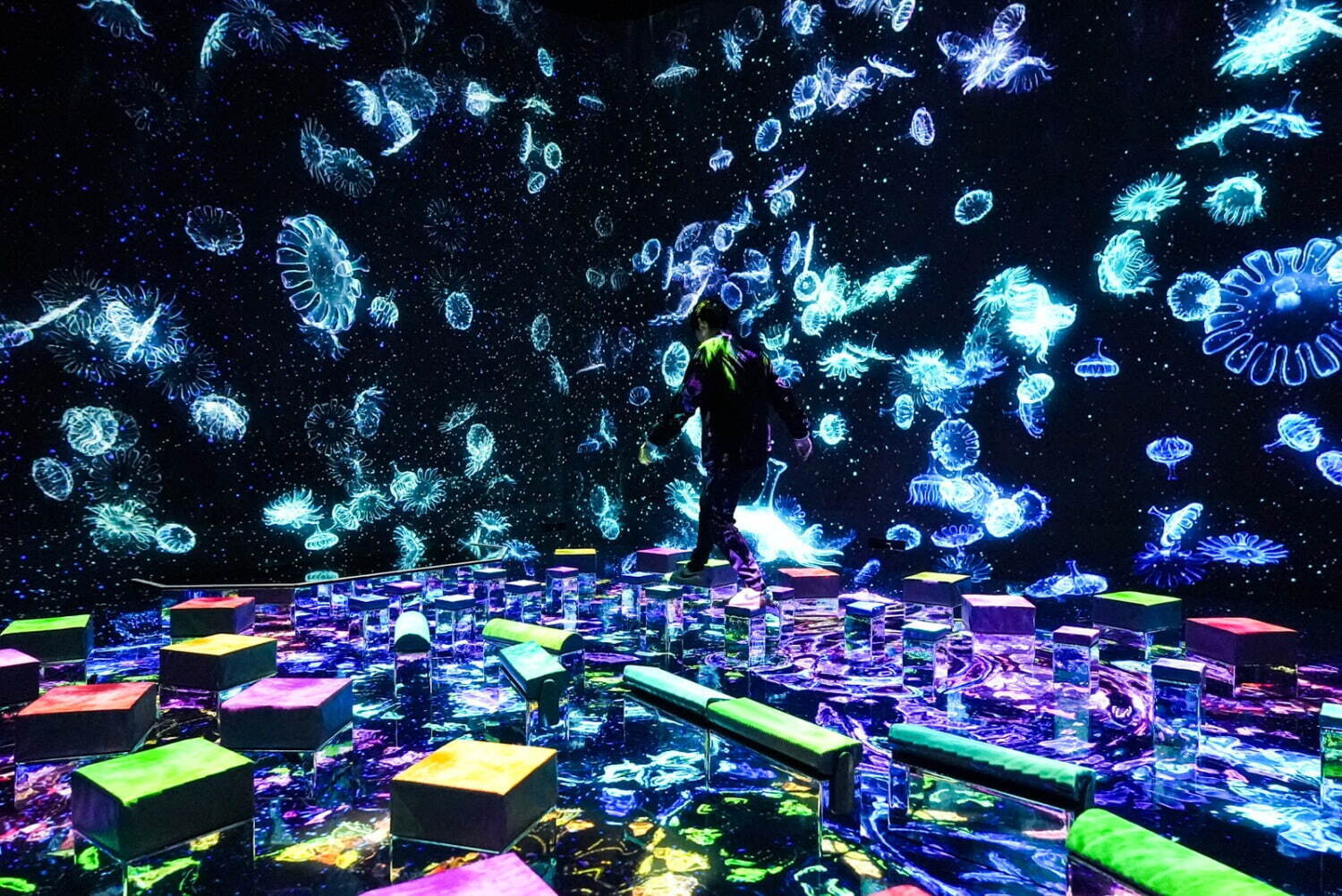 チームラボ 《インビジブルな世界のバランス飛石》Courtesy teamLab Borderless, Odaiba