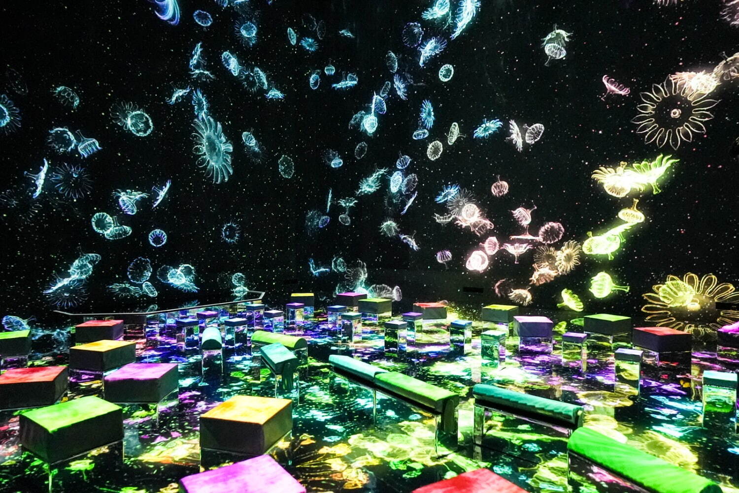 チームラボ 《インビジブルな世界のバランス飛石》Courtesy teamLab Borderless, Odaiba