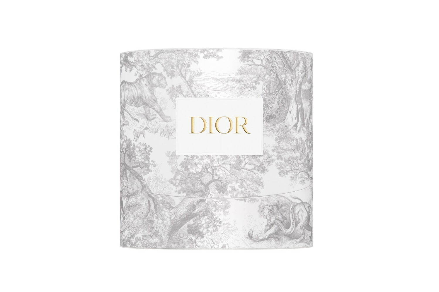 ディオール(DIOR) ルージュ プレミエ｜写真5