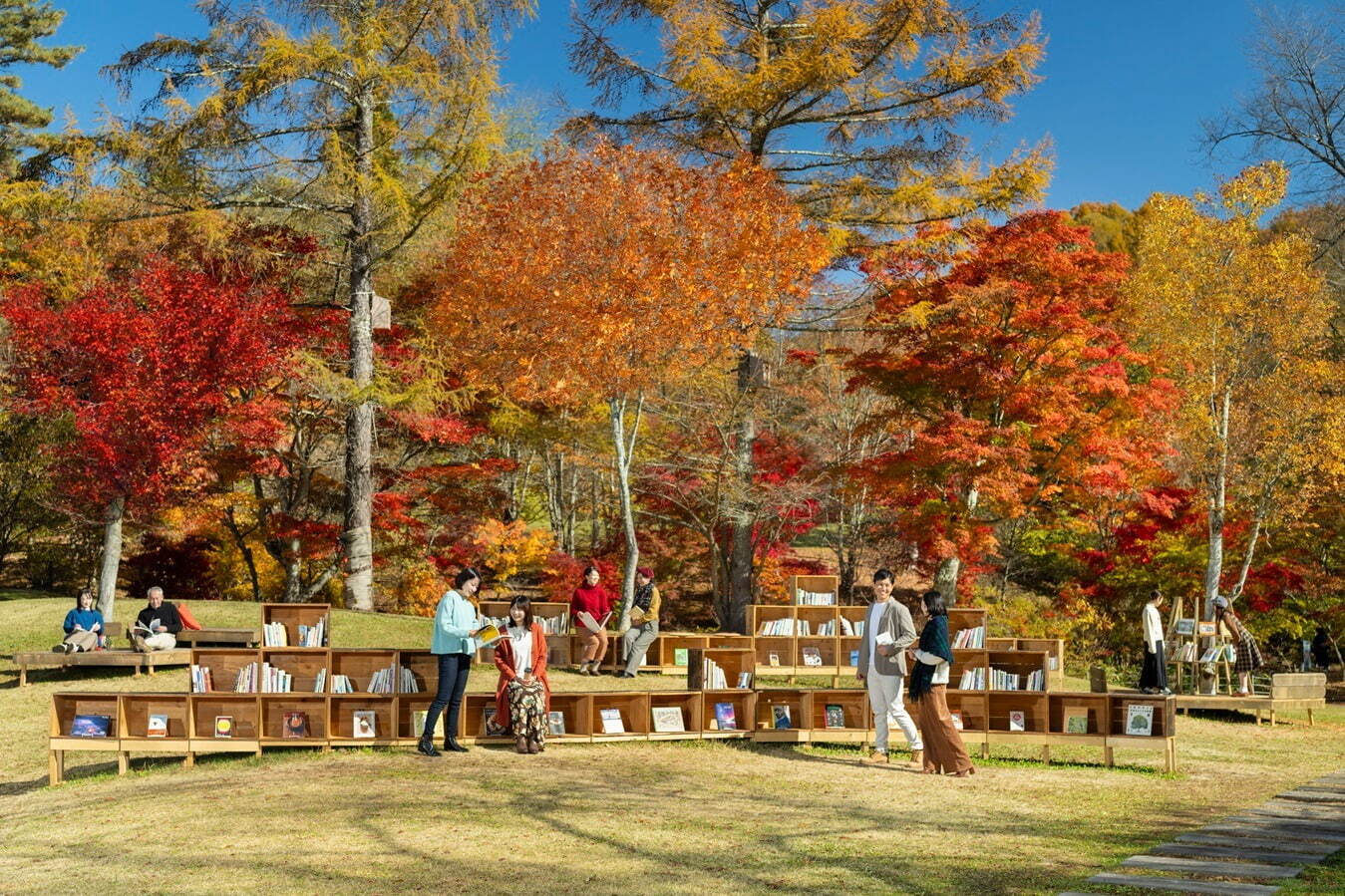 紅葉＆読書を楽しむ「紅葉図書館」軽井沢星野エリアで、読書のお供にメープルナッツラテやハンモックも｜写真1