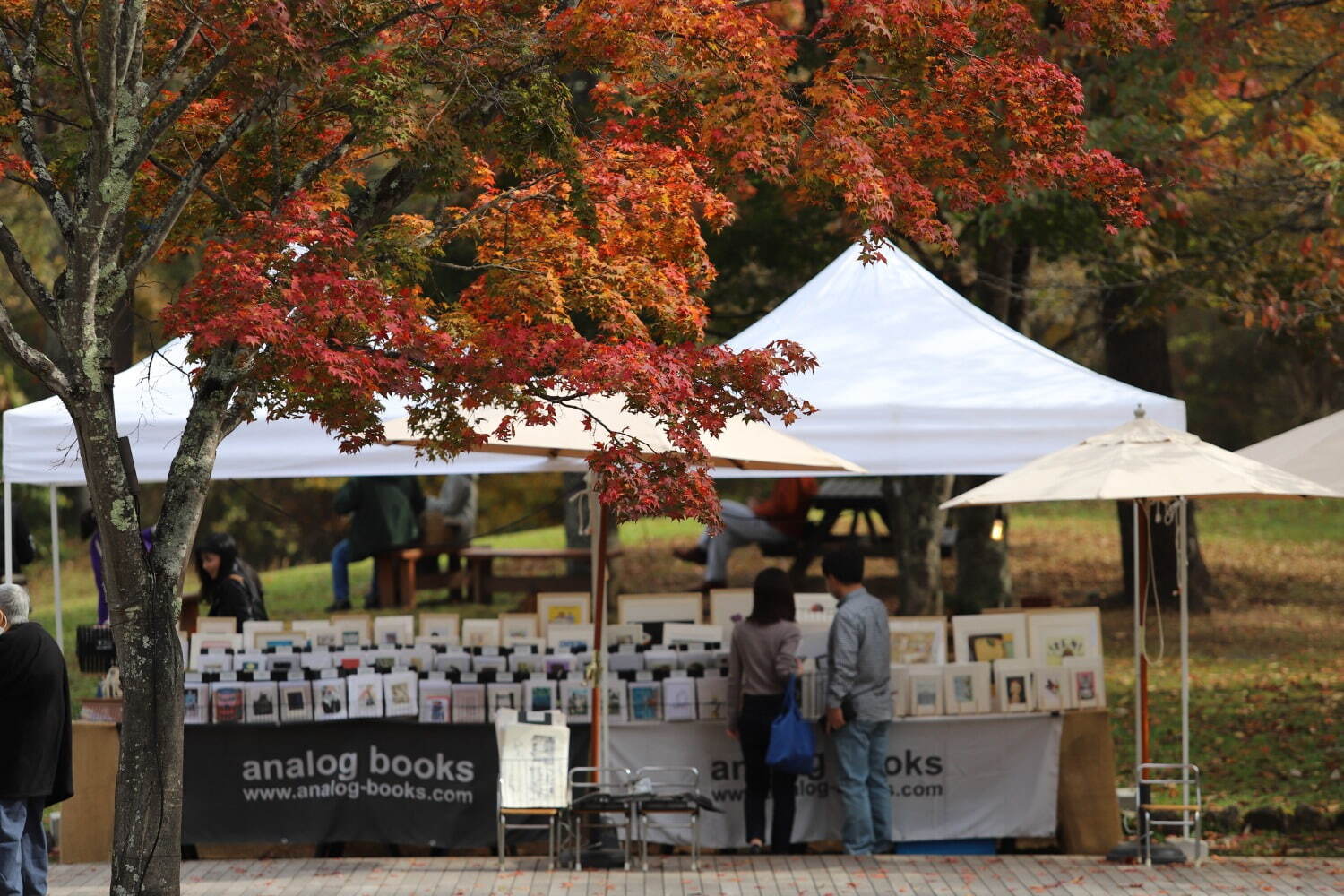 紅葉＆読書を楽しむ「紅葉図書館」軽井沢星野エリアで、読書のお供にメープルナッツラテやハンモックも｜写真4