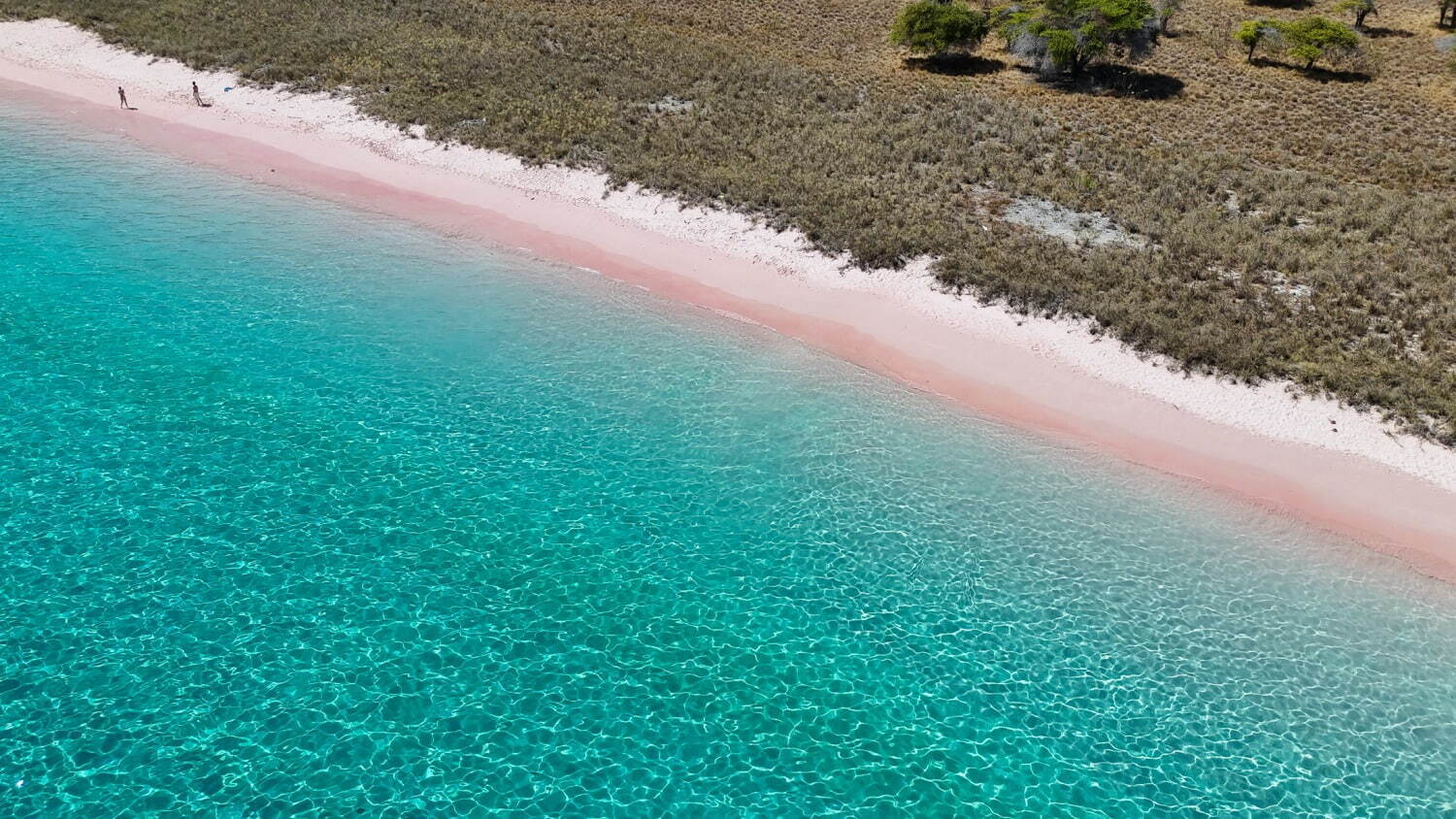 インドネシアの楽園「コモド諸島」世界で最も映える海の1つ、桃色の砂浜“ピンクビーチとは？｜写真3