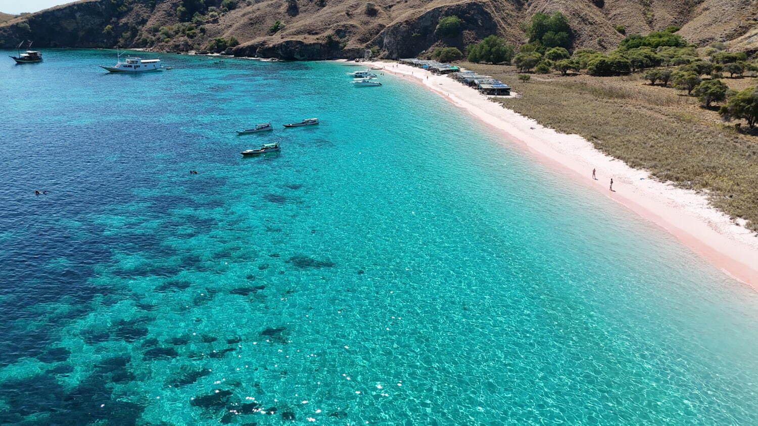 インドネシアの楽園「コモド諸島」世界で最も映える海の1つ、桃色の砂浜“ピンクビーチとは？｜写真1