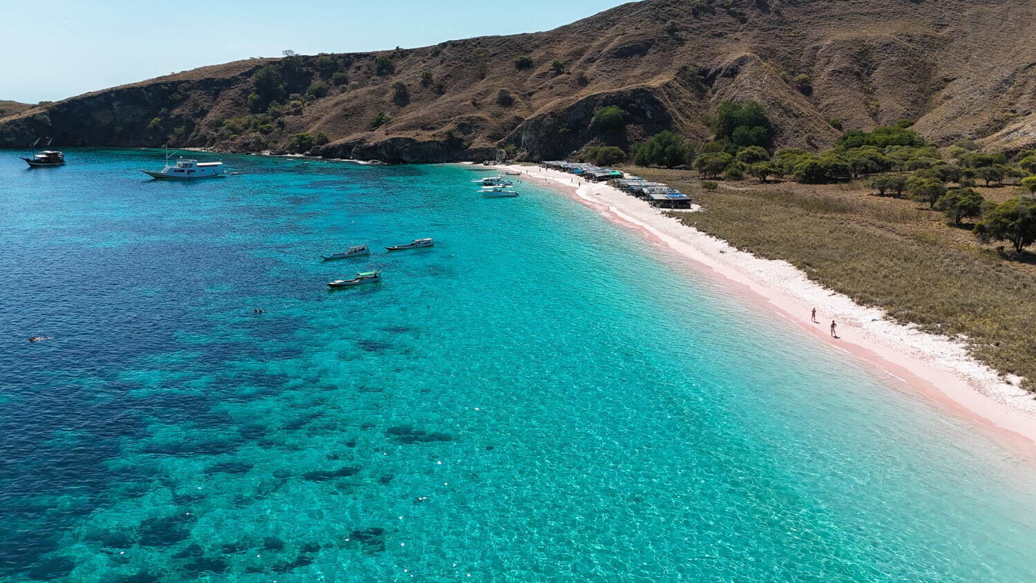 インドネシアの楽園「コモド諸島」世界で最も映える海の1つ、桃色の砂浜“ピンクビーチとは？｜写真4