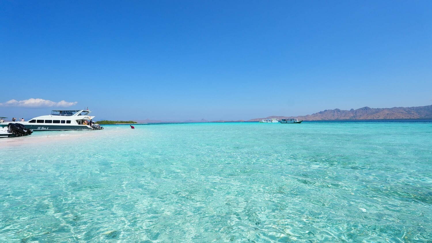 インドネシアの楽園「コモド諸島」世界で最も映える海の1つ、桃色の砂浜“ピンクビーチとは？｜写真33