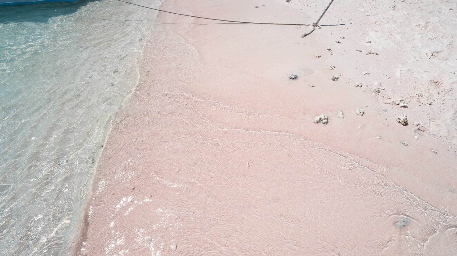 インドネシアの楽園「コモド諸島」世界で最も映える海の1つ、桃色の砂浜“ピンクビーチとは？｜写真34