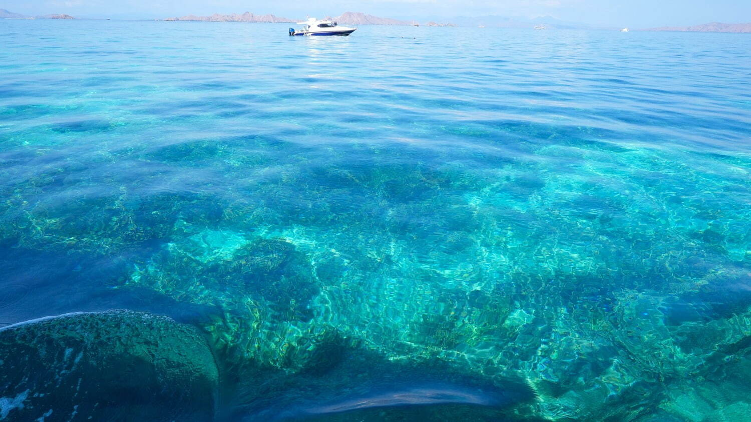 インドネシアの楽園「コモド諸島」世界で最も映える海の1つ、桃色の砂浜“ピンクビーチとは？｜写真68