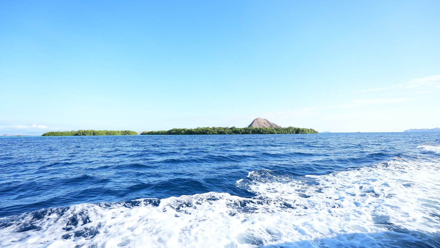 インドネシアの楽園「コモド諸島」世界で最も映える海の1つ、桃色の砂浜“ピンクビーチとは？｜写真65