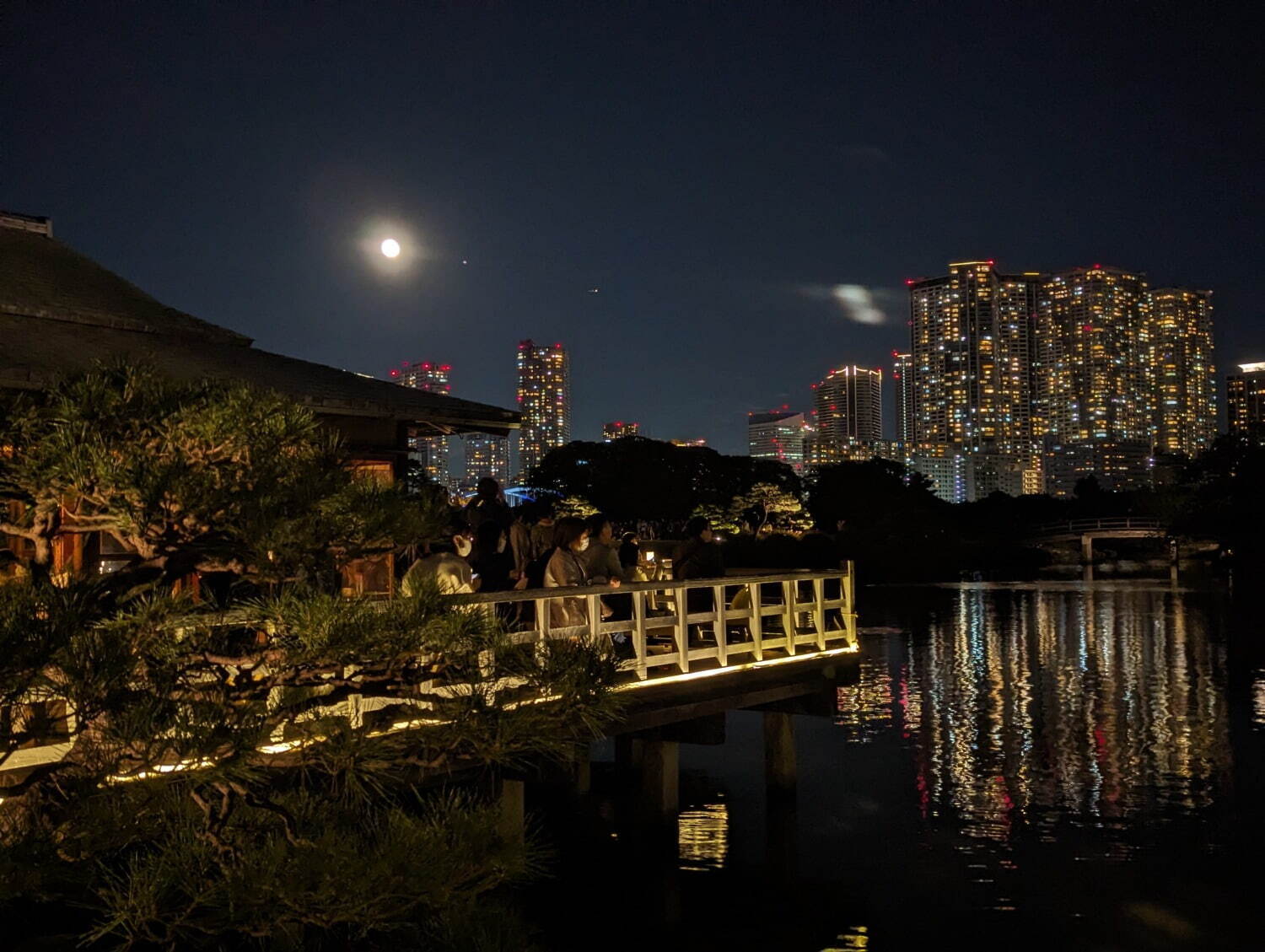 東京・浜離宮恩賜庭園で「お月見散歩」光と影の夜間ライトアップやお月見スイーツ｜写真5