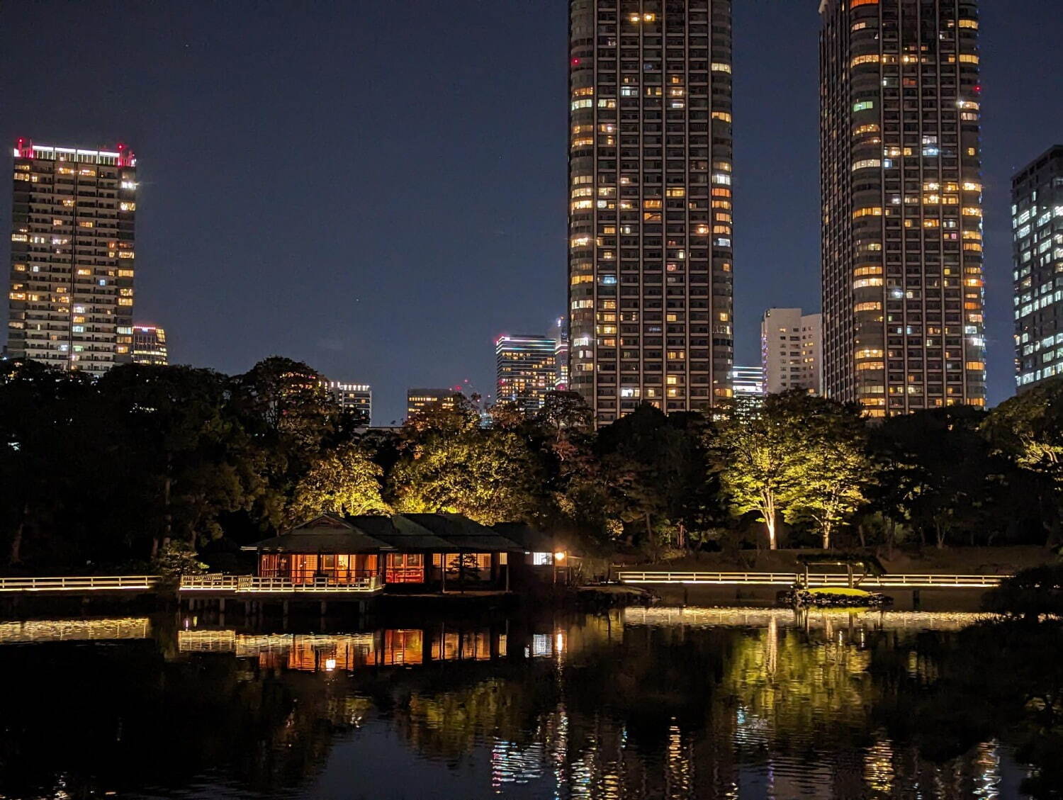 東京・浜離宮恩賜庭園で「お月見散歩」光と影の夜間ライトアップやお月見スイーツ｜写真3