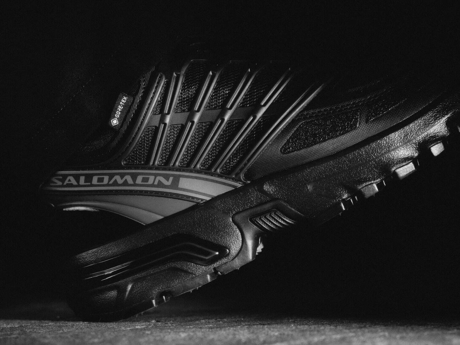 サロモン(SALOMON) ACS プロ GTX｜写真2