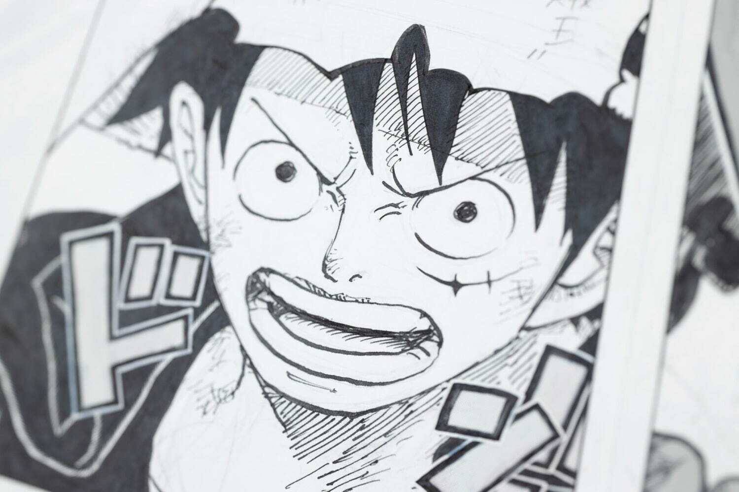 尾田栄一郎「ONE PIECE」1000話原画
©Eiichiro Oda / Shueisha Inc. All rights reserved.