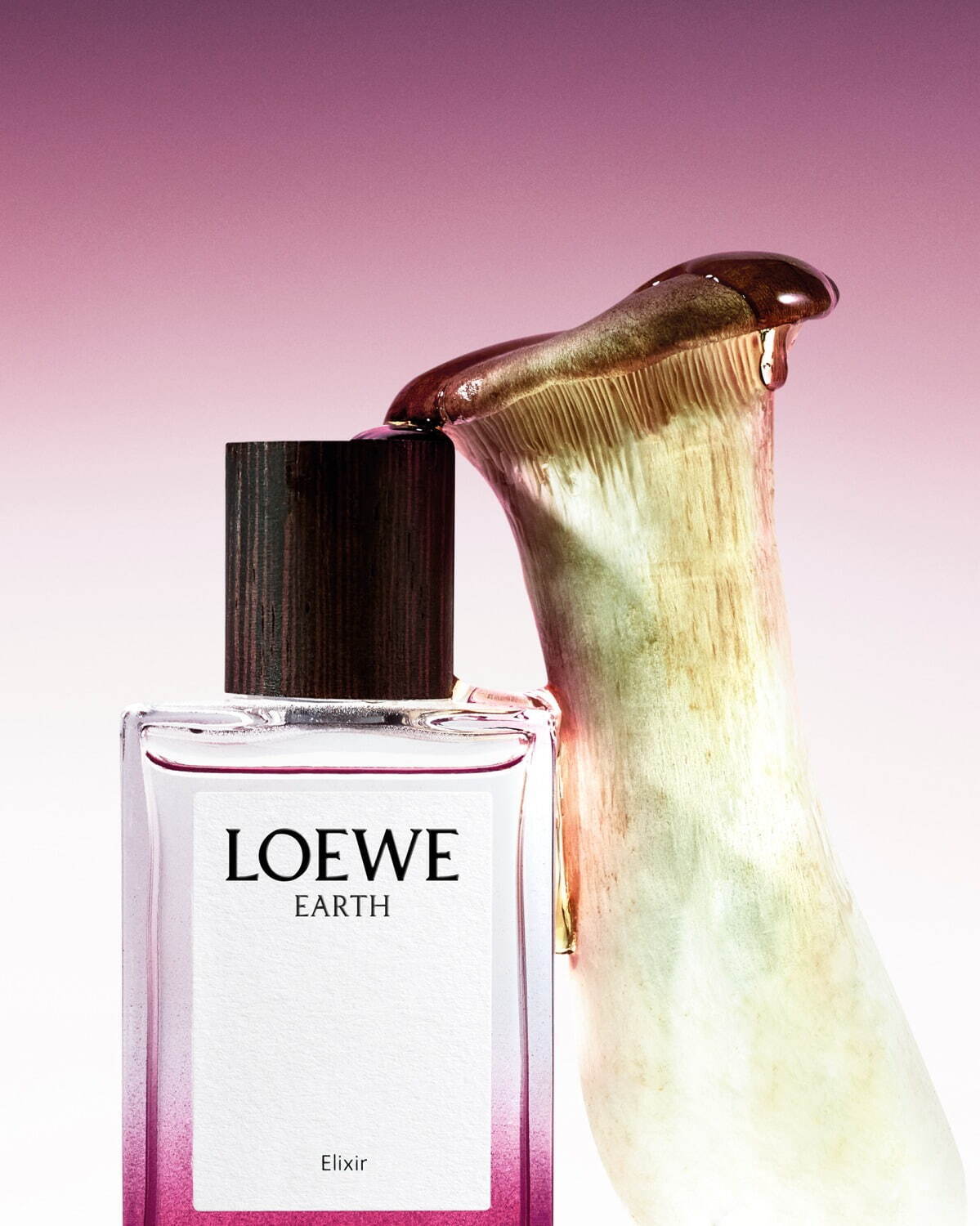 ロエベ パルファム(LOEWE Perfumes) ボタニカル レインボー｜写真3