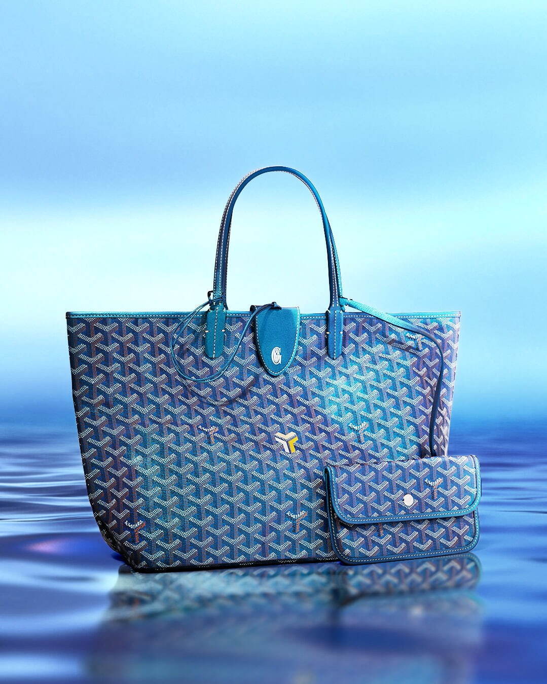 ゴヤール(GOYARD) サン・ルイ｜写真21