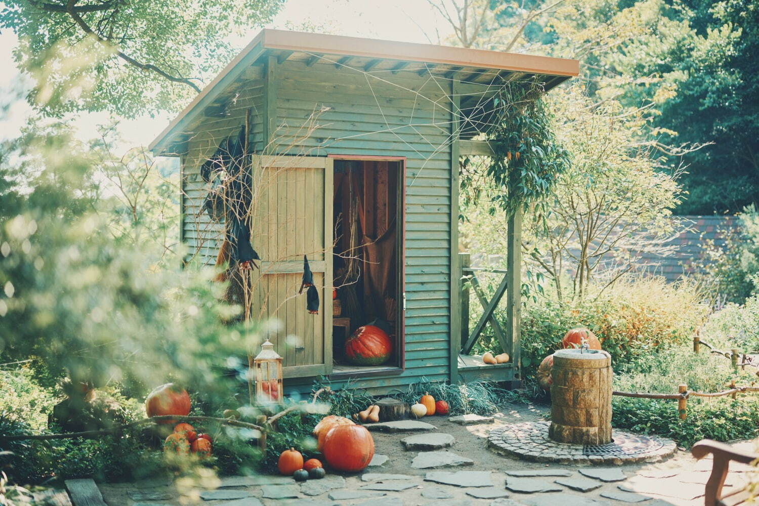 神戸布引ハーブ園「ハロウィンフェア」コキアなど秋の花々、園内にカボチャ＆“秋の収穫物”を装飾｜写真14