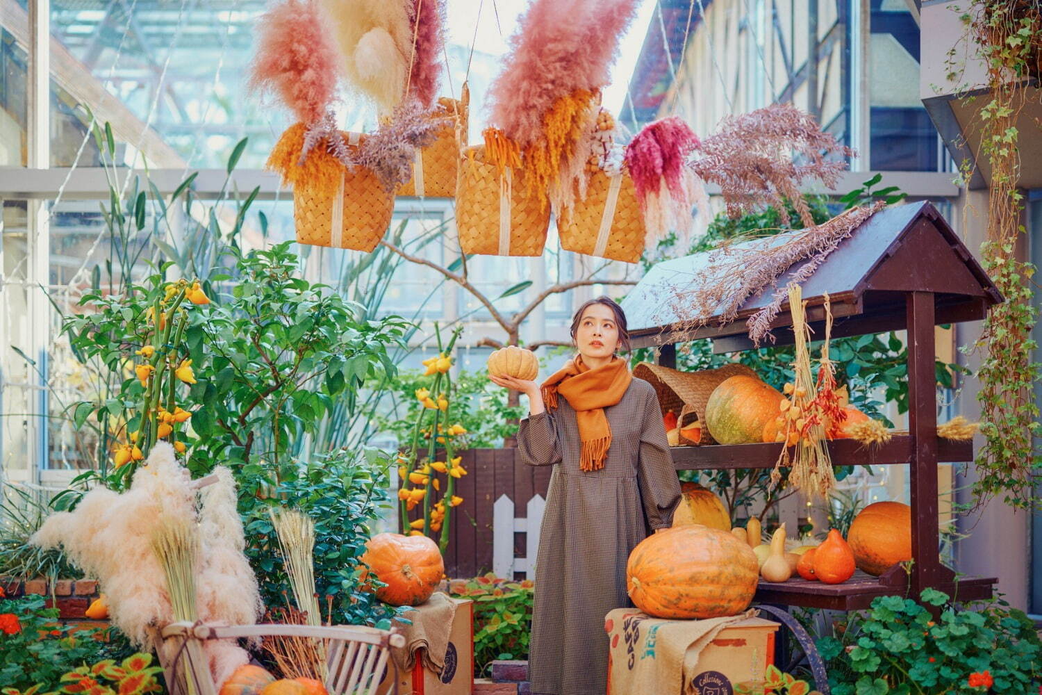 神戸布引ハーブ園「ハロウィンフェア」コキアなど秋の花々、園内にカボチャ＆“秋の収穫物”を装飾｜写真6