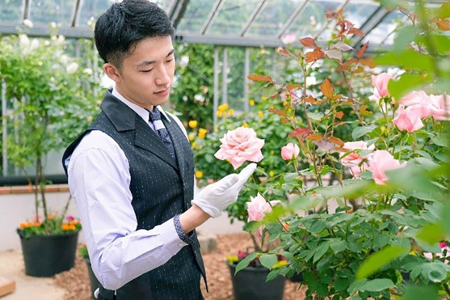 千葉・京成バラ園で「不思議の国のアリス」テーマの秋イベント、香り高い秋バラが開花｜写真4