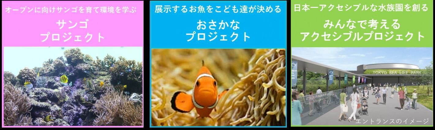 葛西臨海水族園が2028年にリニューアル、巨大水槽でクロマグロ展示は継続予定｜写真10