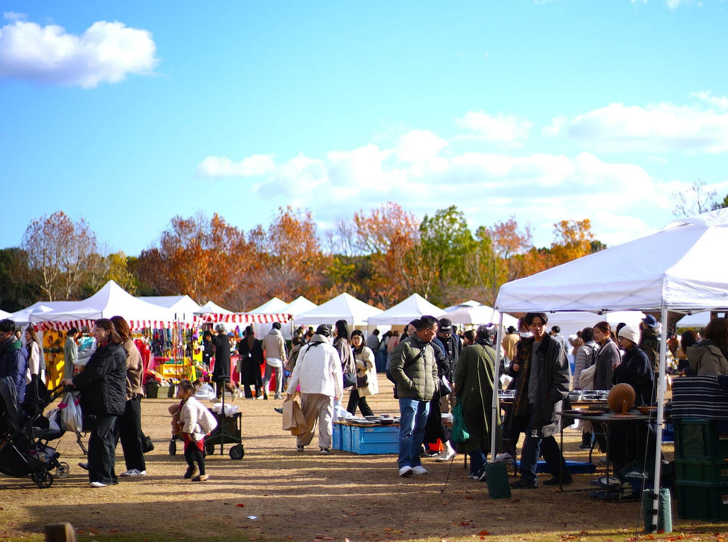 関西蚤の市 万博記念公園｜写真6