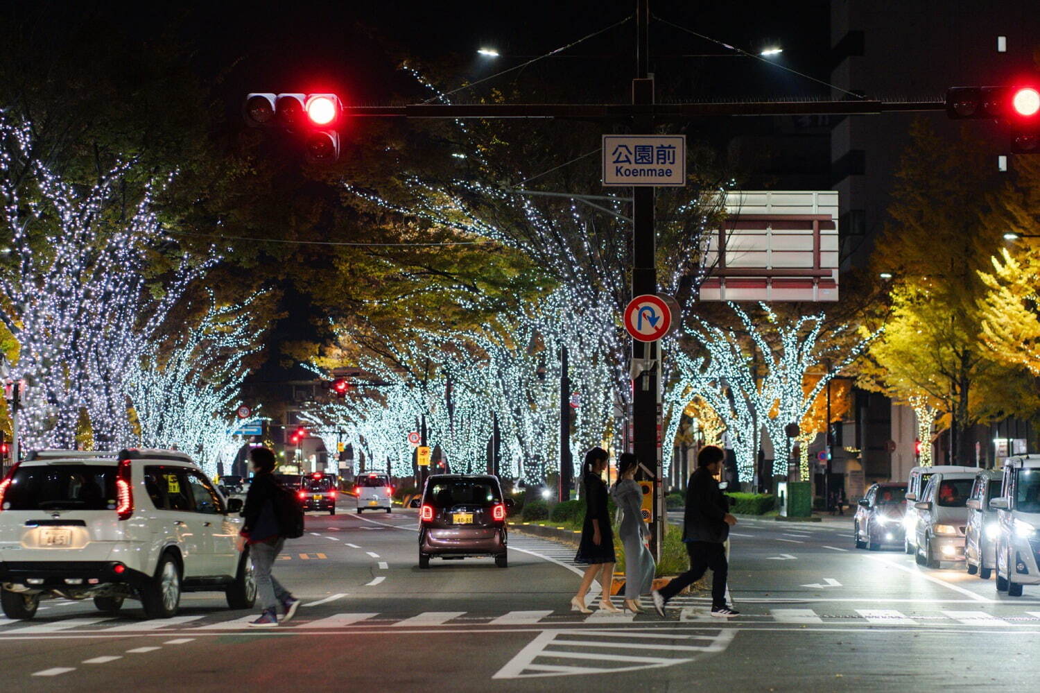 【和歌山県・けやき大通り】関西最大級イルミネーション