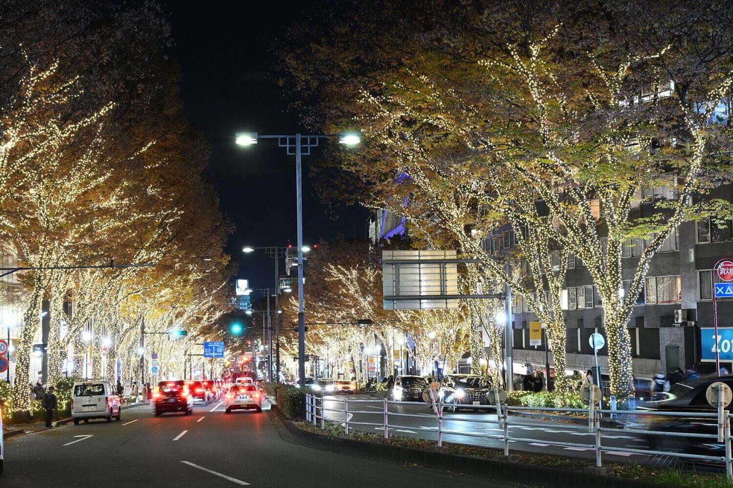 「東京・関東のイルミネーション2024冬」クリスマスデートの人気スポットや入場無料のおすすめイベント｜写真20