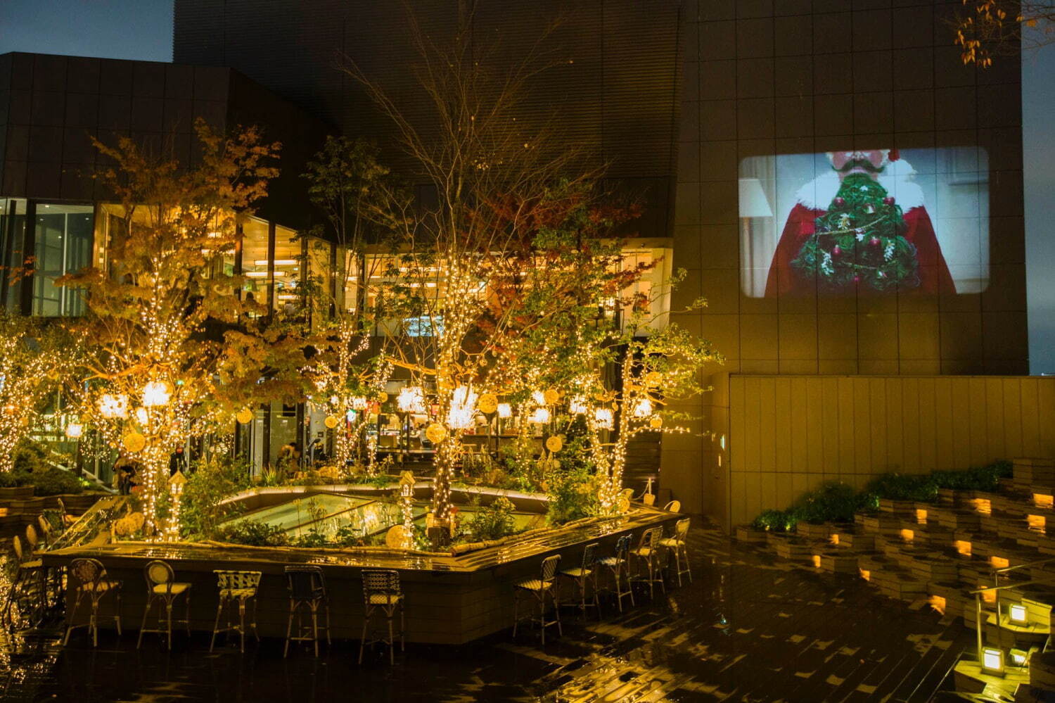 東急プラザ表参道「オモカド」2024年クリスマスイルミネーション、“星の降る森”をテーマに｜写真5