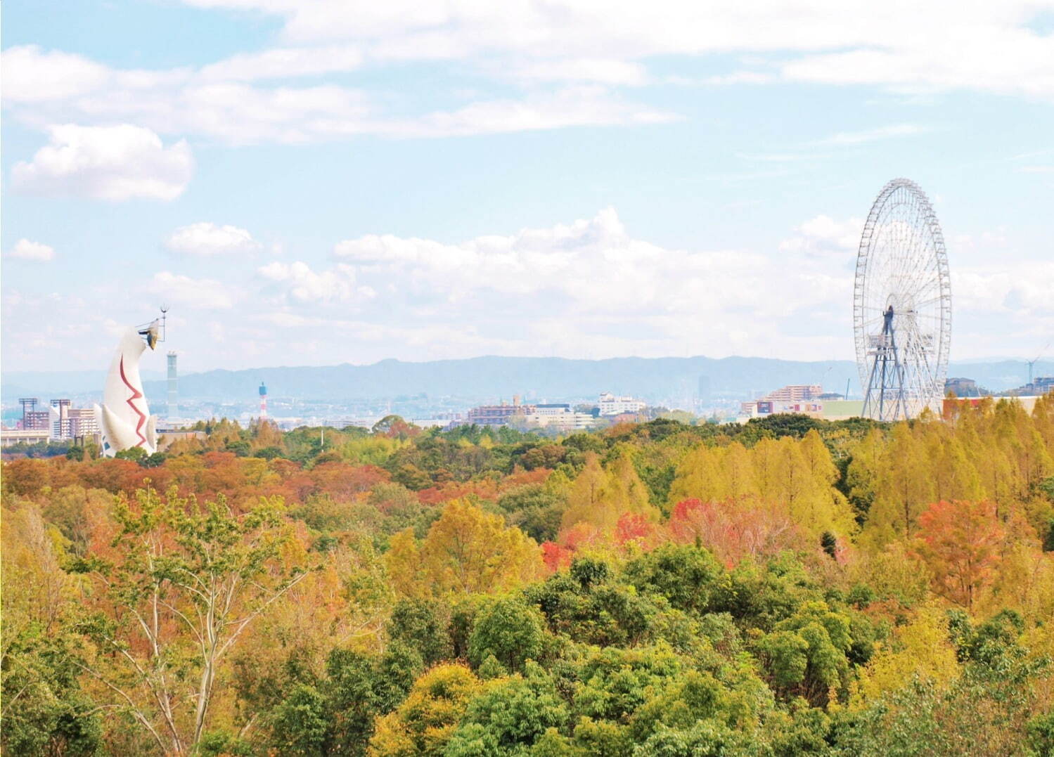 写真提供：万博記念公園マネジメント・パートナーズ