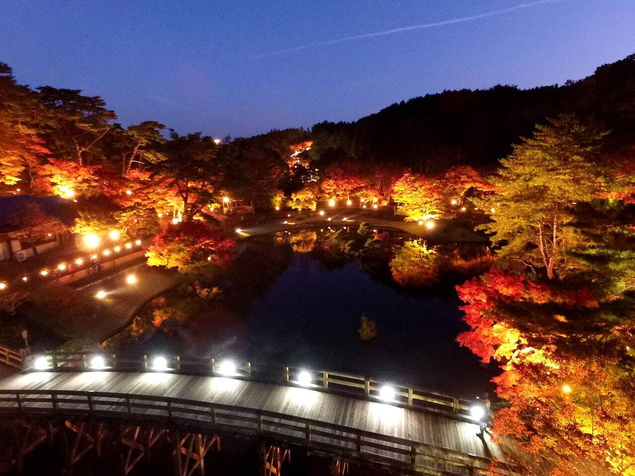 紅葉イベント「もみじライトアップ」静岡・修善寺にて、打ち上げ花火やイルミネーションも｜写真1