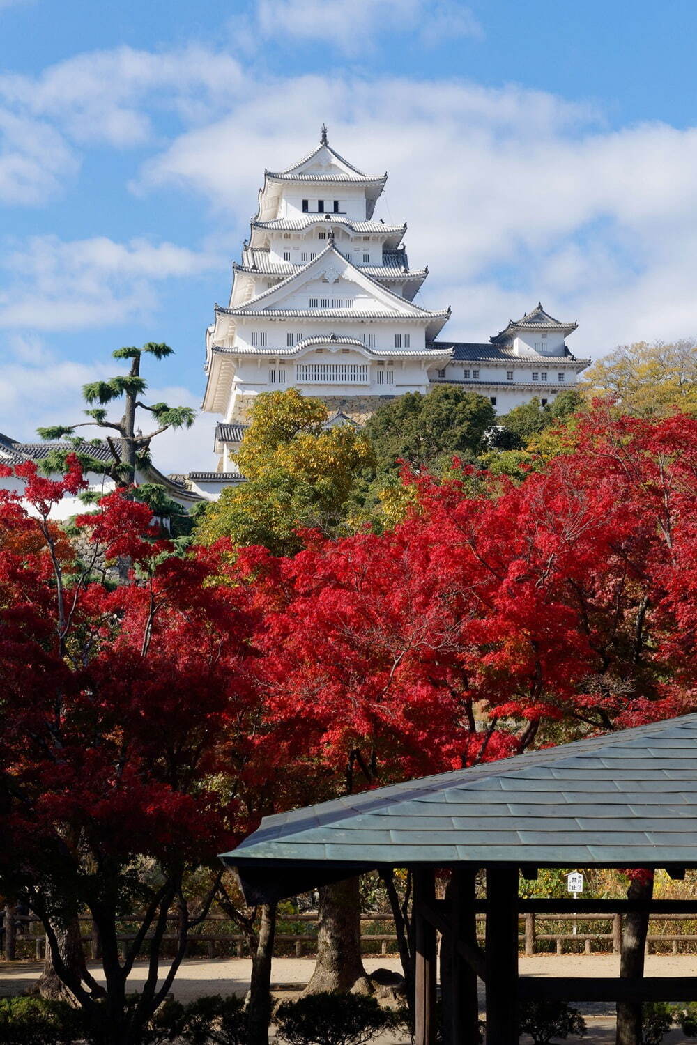 世界遺産・姫路城2024年秋冬“非公開エリア”を特別観覧、紅葉の景色と歴史を堪能｜写真2