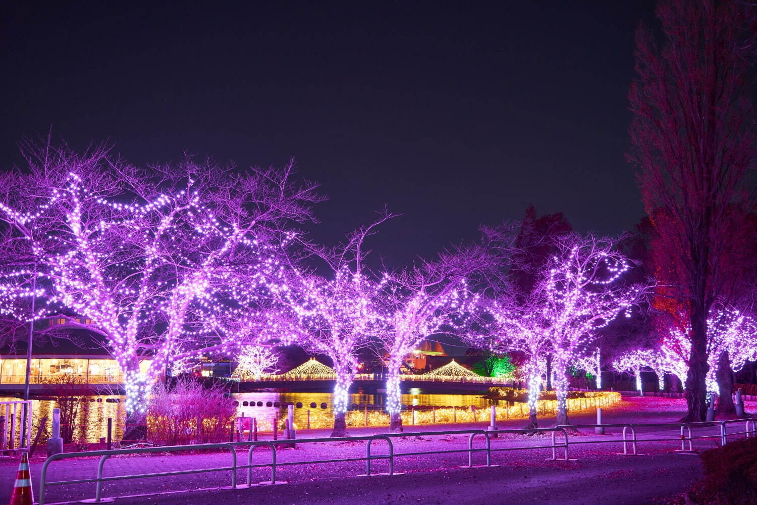 東武動物公園「ウィンターイルミネーション2024-2025」光の桜や動物オブジェのライトアップ｜写真3