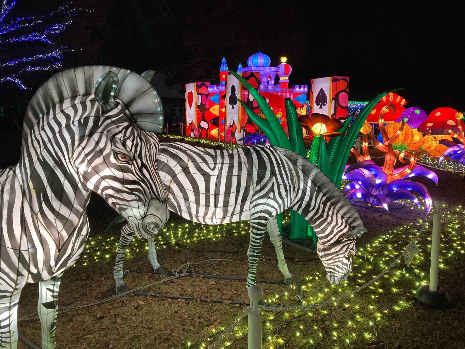 東武動物公園「ウィンターイルミネーション2024-2025」光の桜や動物オブジェのライトアップ｜写真18