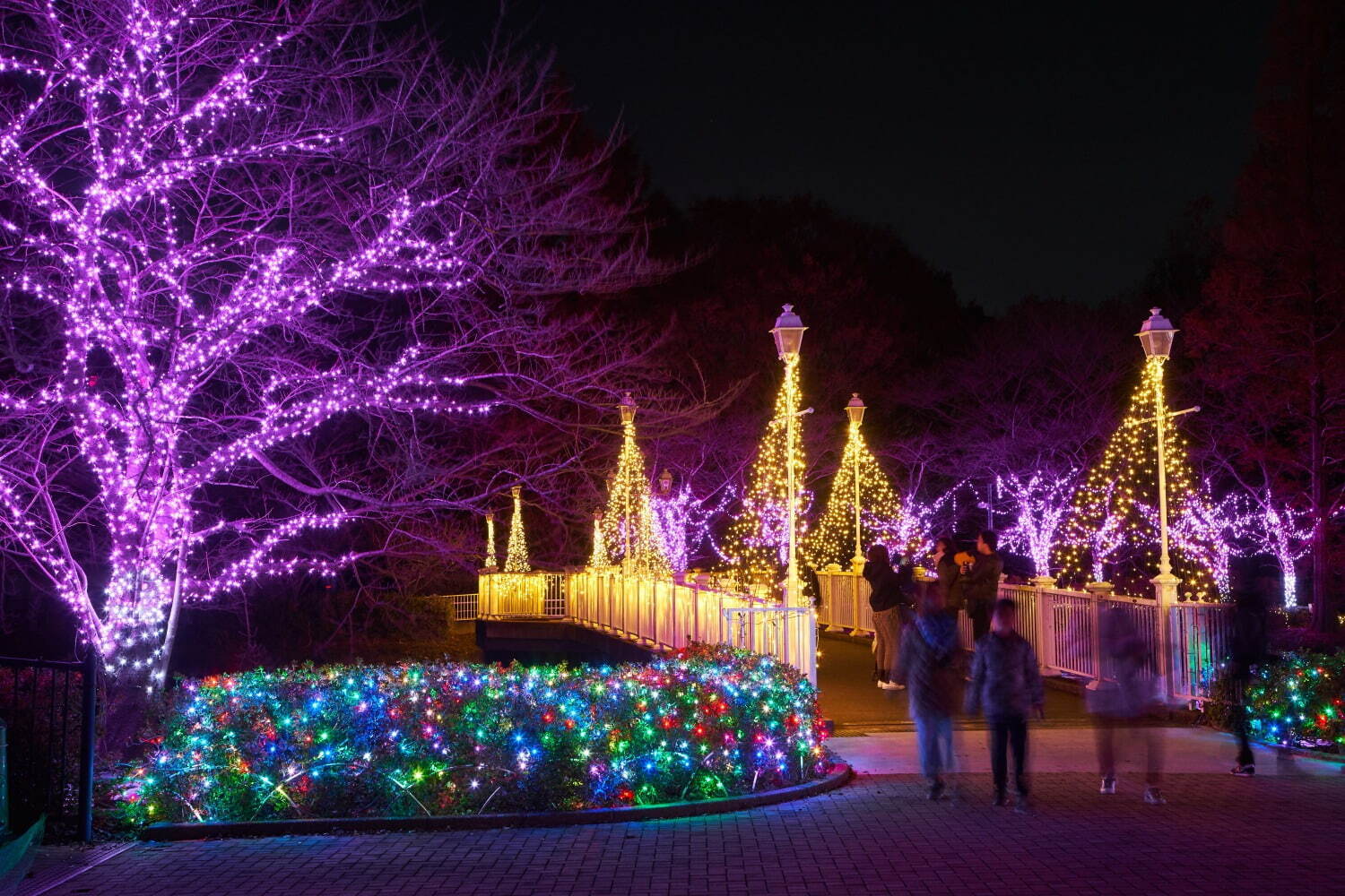 東武動物公園「ウィンターイルミネーション2024-2025」光の桜や動物オブジェのライトアップ｜写真1