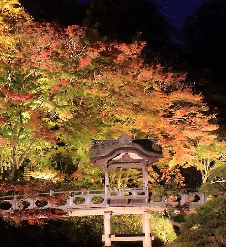 横浜「三溪園」紅葉ライトアップ、”古建築×紅葉”の幻想的な庭園を楽しむ｜写真2