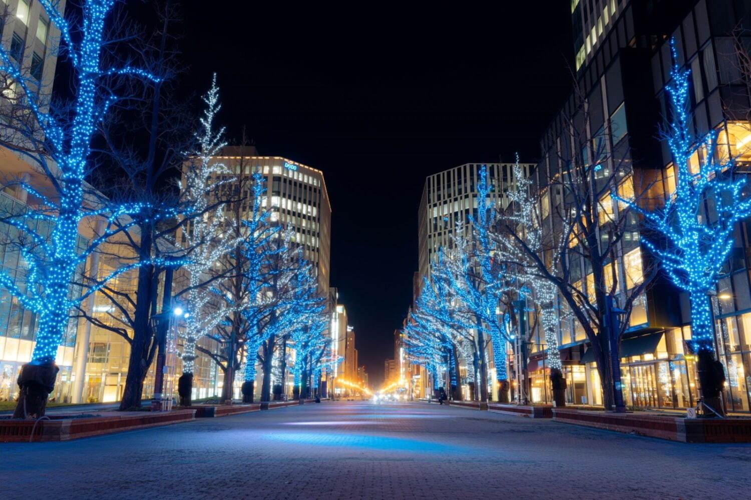 「さっぽろホワイトイルミネーション」北海道・札幌に“光のオブジェ”やクリスマスツリーを装飾｜写真11