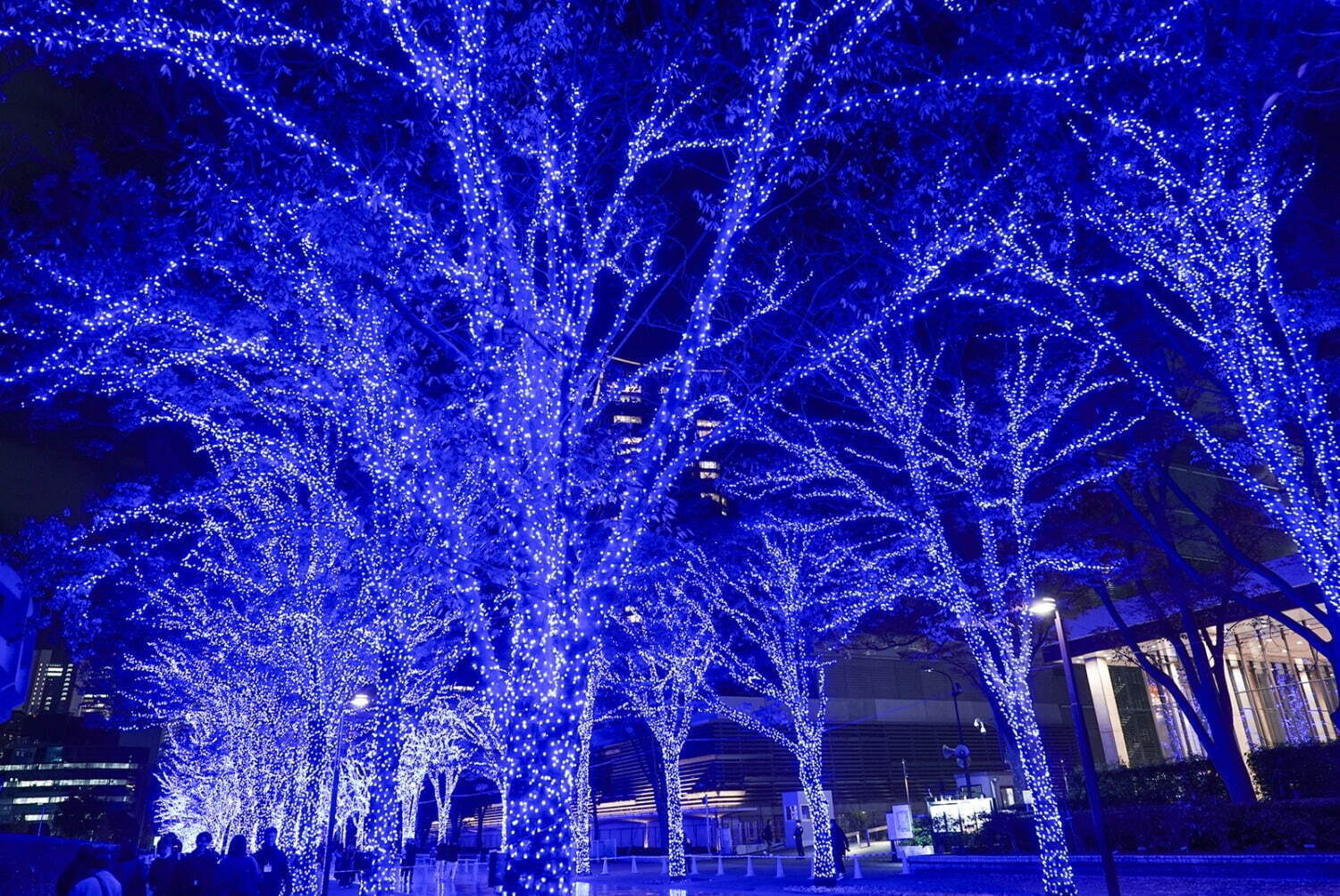 「青の洞窟 SHIBUYA」渋谷が“青一色”に染まる冬イルミネーション、代々木公園にスノードームも｜写真5