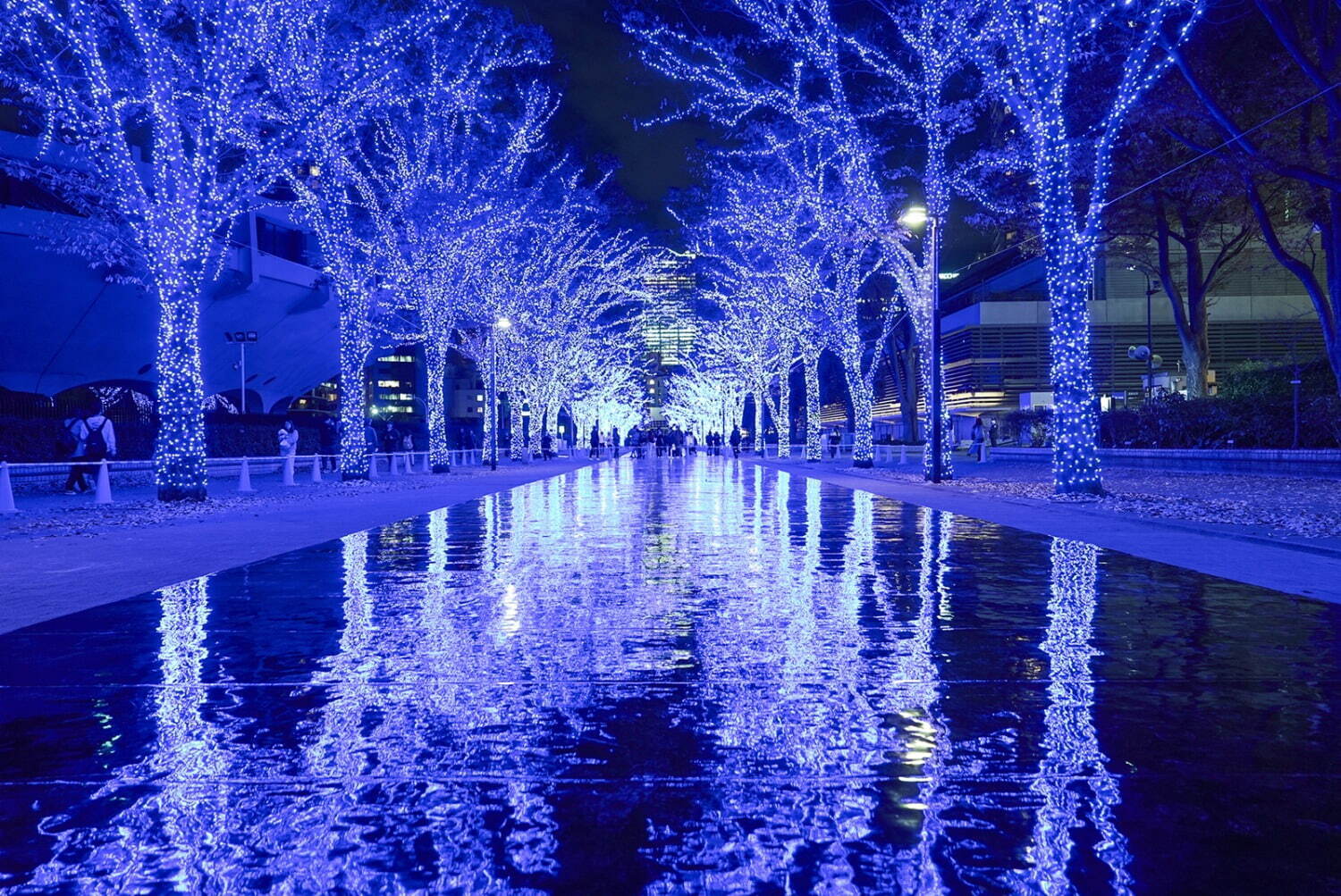 【東京都・代々木公園～渋谷公園通り】青に染まる「青の洞窟 SHIBUYA」