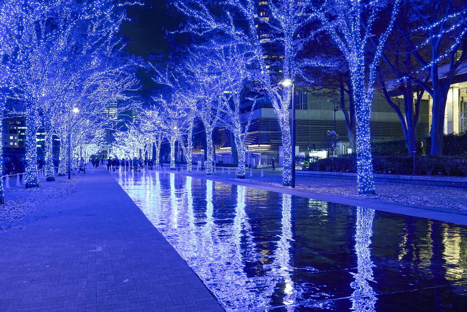 「青の洞窟 SHIBUYA」渋谷が“青一色”に染まる冬イルミネーション、代々木公園にスノードームも｜写真4