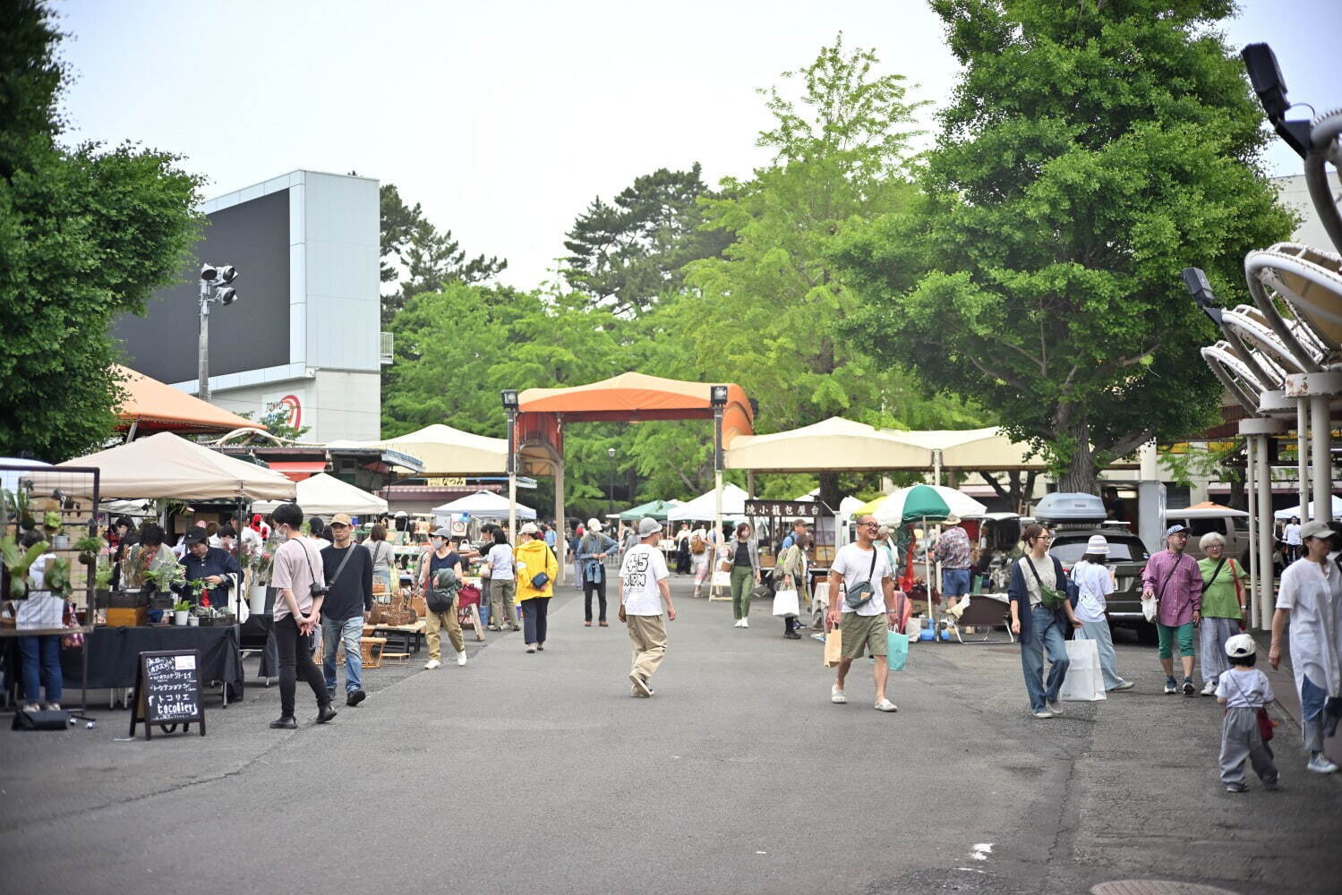 蚤の市「東京蒐集 第3会」調布・京王閣競輪場で、“偏愛”に満ちたコレクターアイテムや骨董品が集結｜写真4