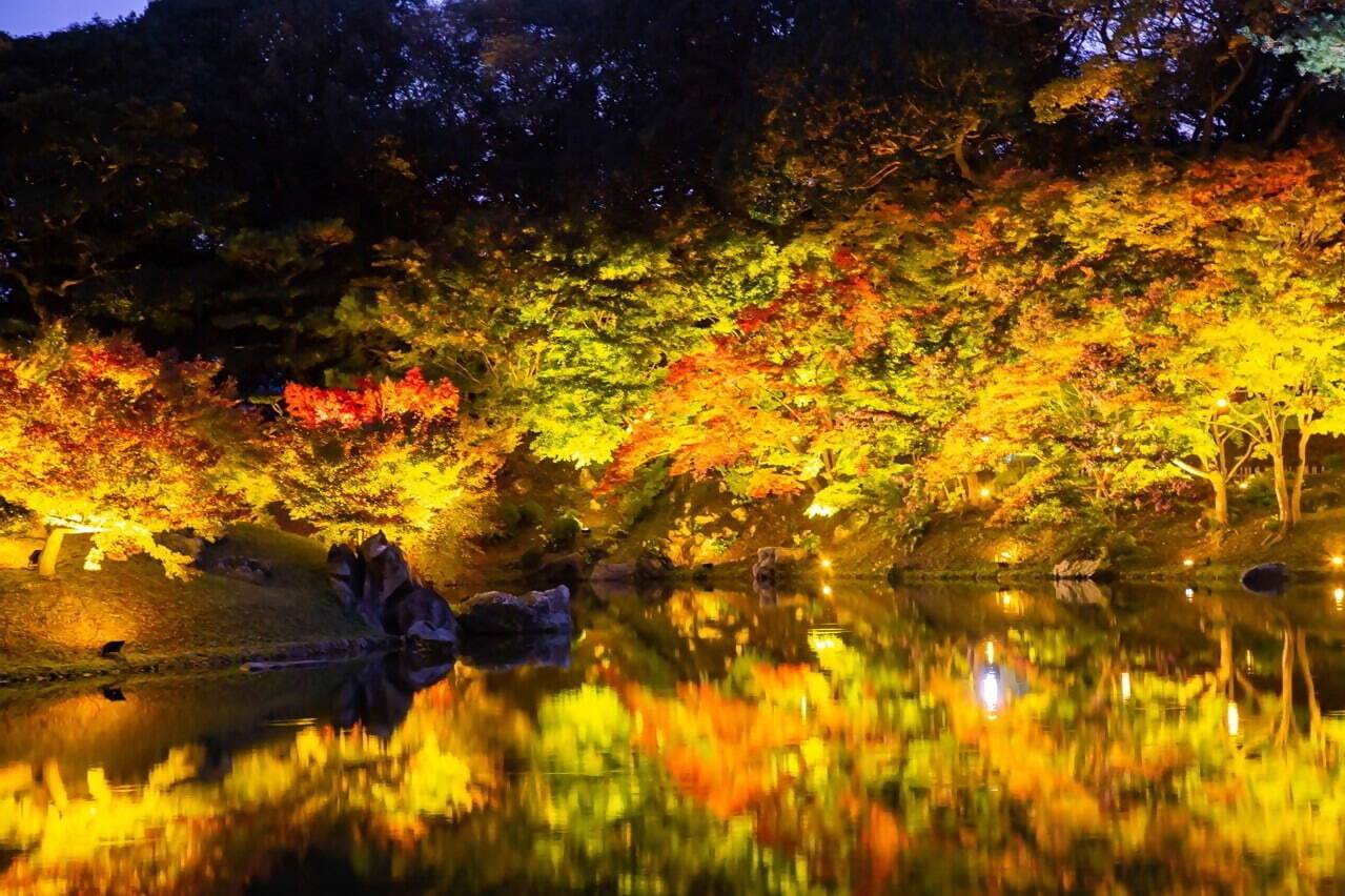 香川県の特別名勝「栗山公園」紅葉ライトアップ、幻想的な湖の水面＆夜間限定の周遊和船も｜写真3