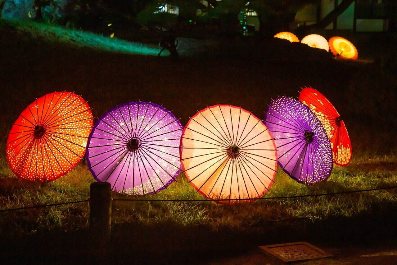 香川県の特別名勝「栗山公園」紅葉ライトアップ、幻想的な湖の水面＆夜間限定の周遊和船も｜写真5