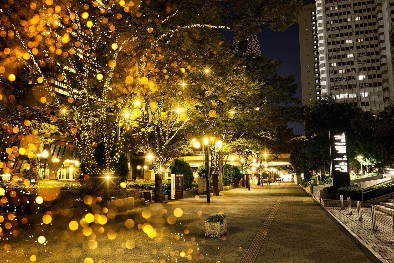 関東の冬おでかけイベント【2024-25年】入場無料のクリスマスイルミネーションや雨の日OK屋内施設｜写真9