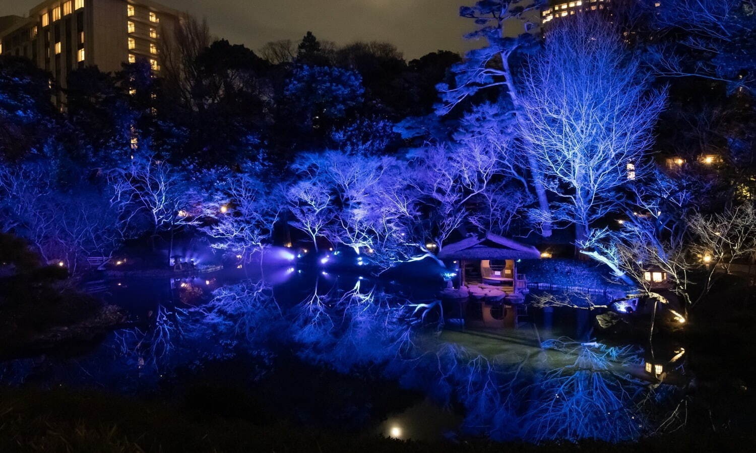 関東の冬おでかけイベント【2024-25年】入場無料のクリスマスイルミネーションなど日帰り旅行にも｜写真46