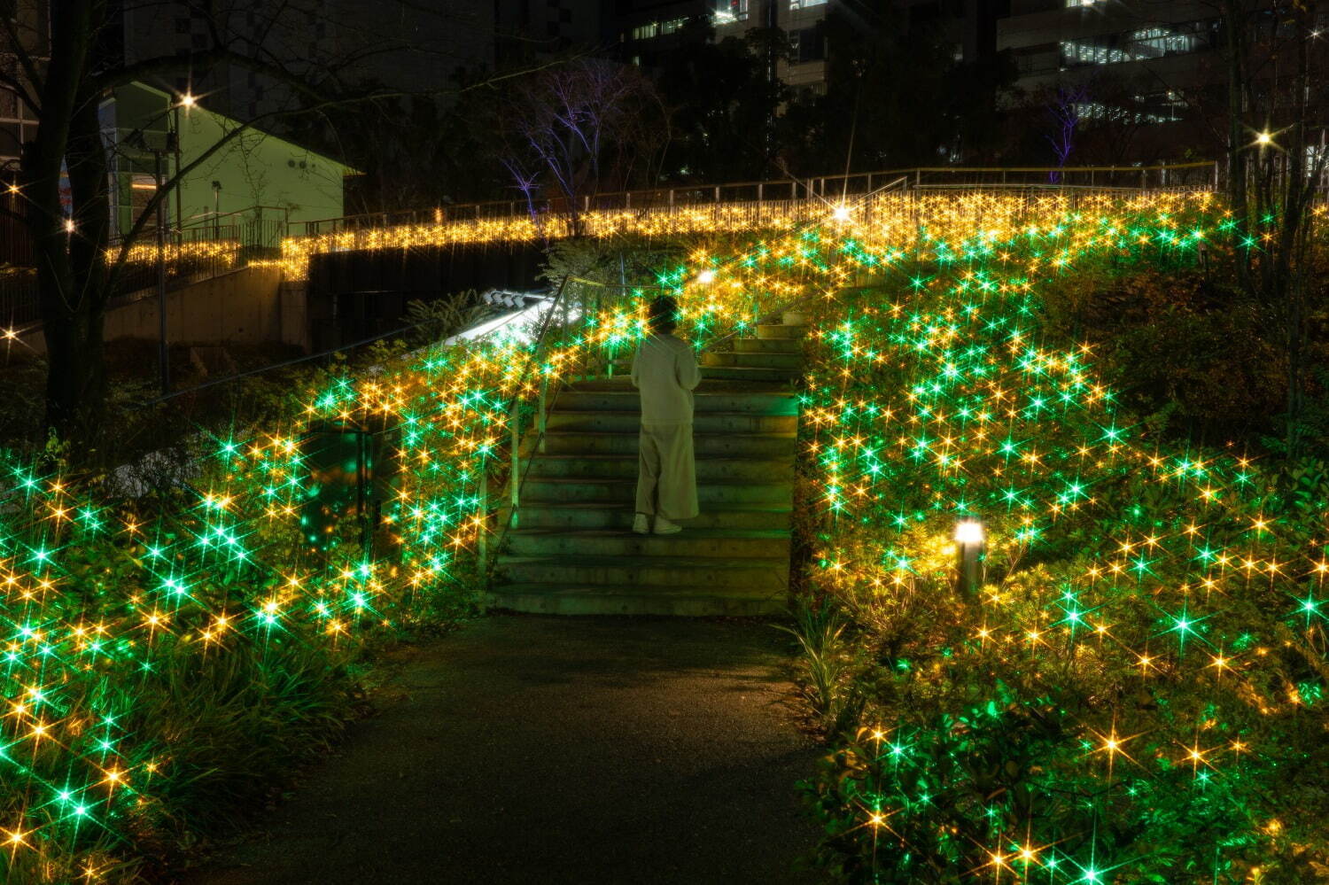 名古屋・久屋大通公園の24年冬イルミネーション、ゴールド×エメラルドの光きらめくライトアップ｜写真2